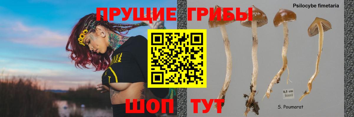 Феодосия  Галлюциногенные грибы MAGIC MUSHROOMS  Галлюциногенные грибы GOLDEN TEACHER  Вход с VPN 